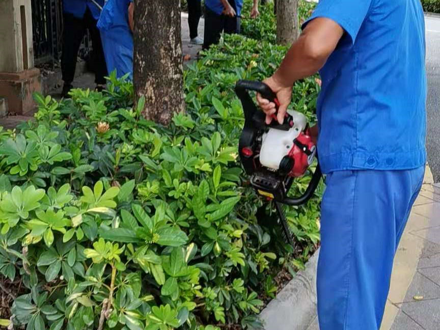 綠化養護修剪
