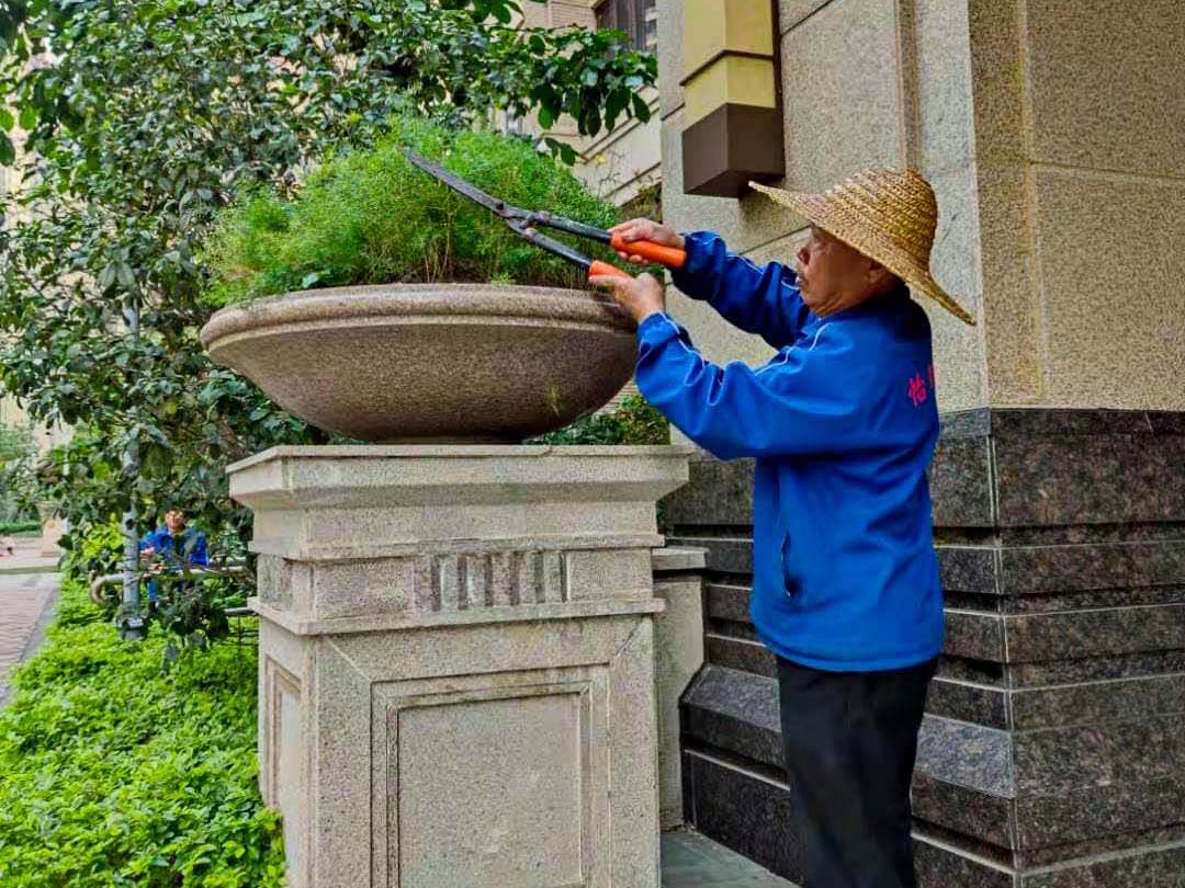 小區(qū)綠化養(yǎng)護修剪