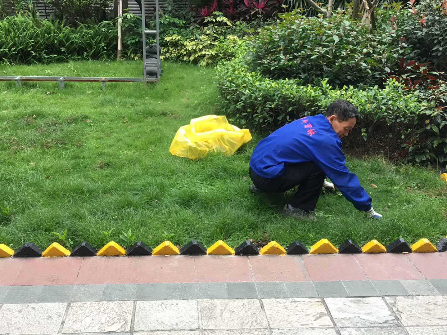除雜草