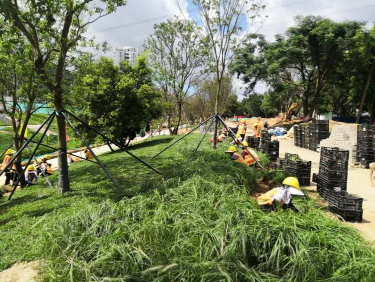 園林綠化工程施工現場