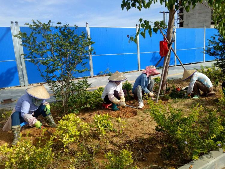園林綠化公司工人對綠化帶進行補植