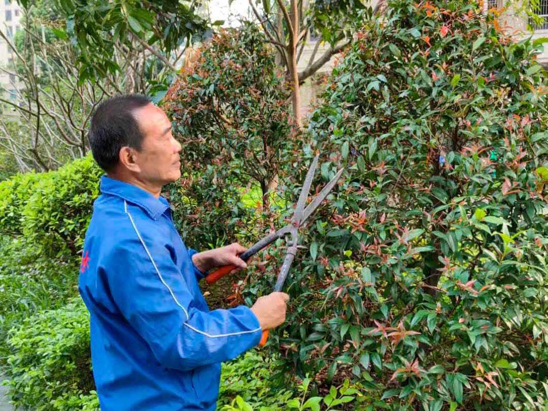 怡軒園林綠化公司工人正在修建