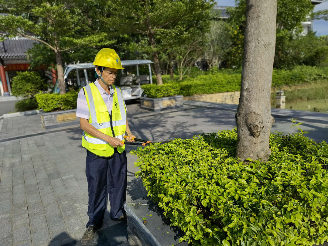 園林綠化養護修剪