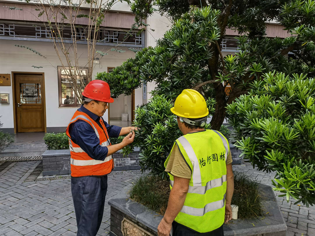 5園林綠化養護苗木的修剪