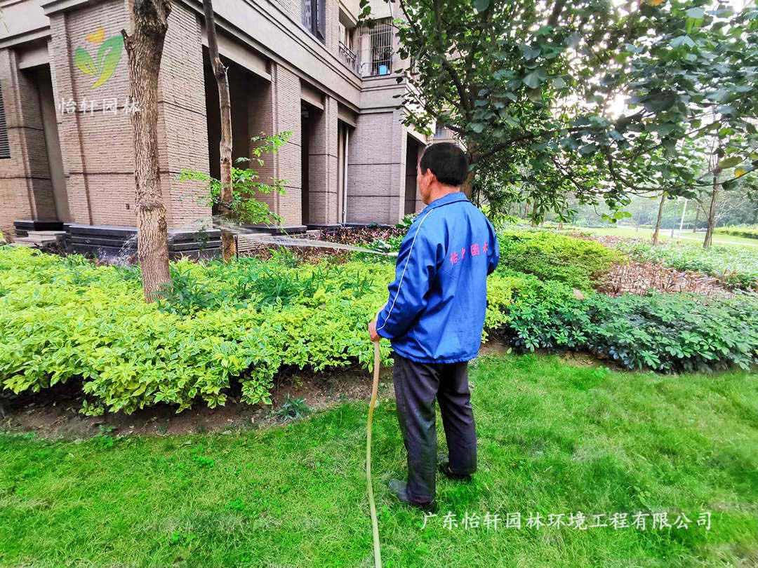 綠化養護澆水要求