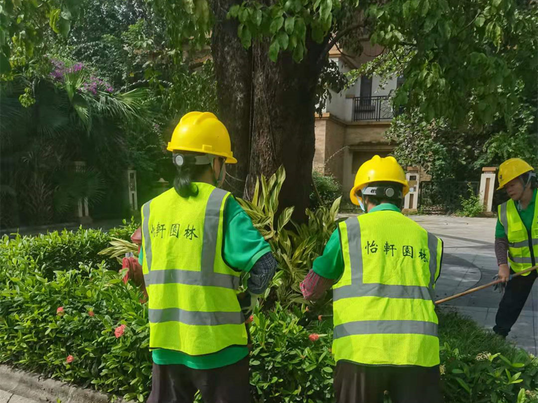 園林綠化養護修剪