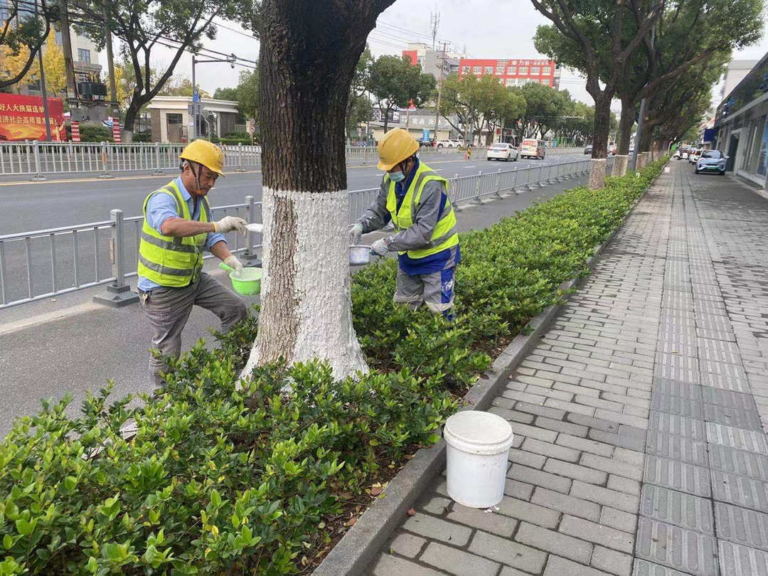 冬季綠化養護防寒措施