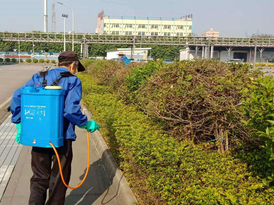 日常園林綠化養護工作殺蟲噴藥