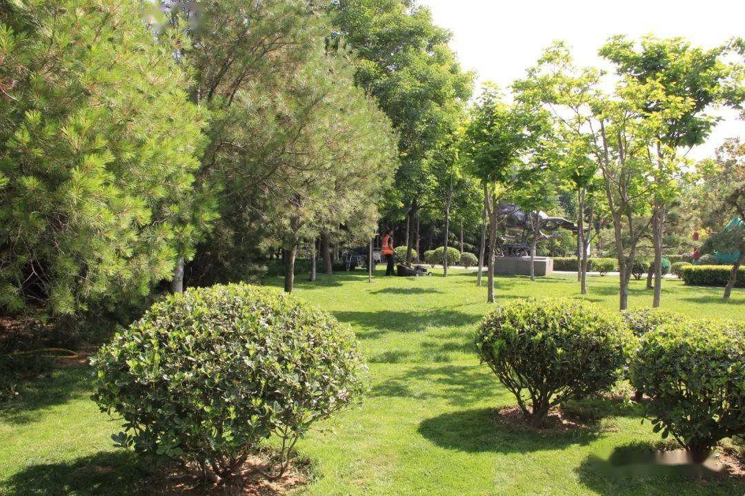 園林綠化工程中鄉土植物的優勢