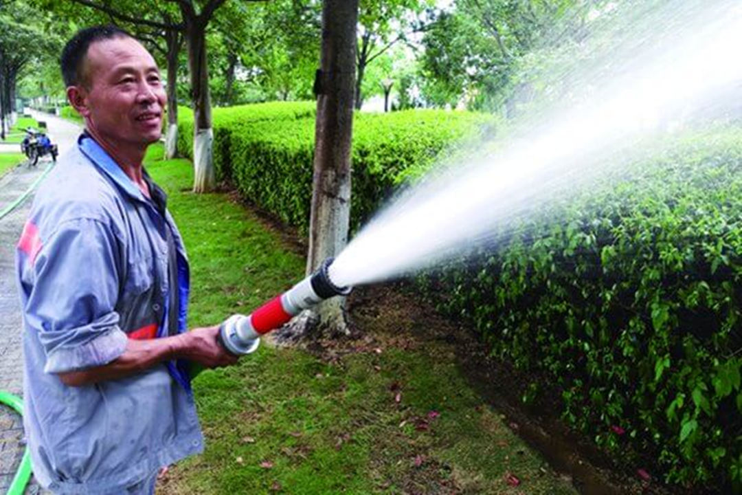 園林綠化工程反季節大樹移植澆水