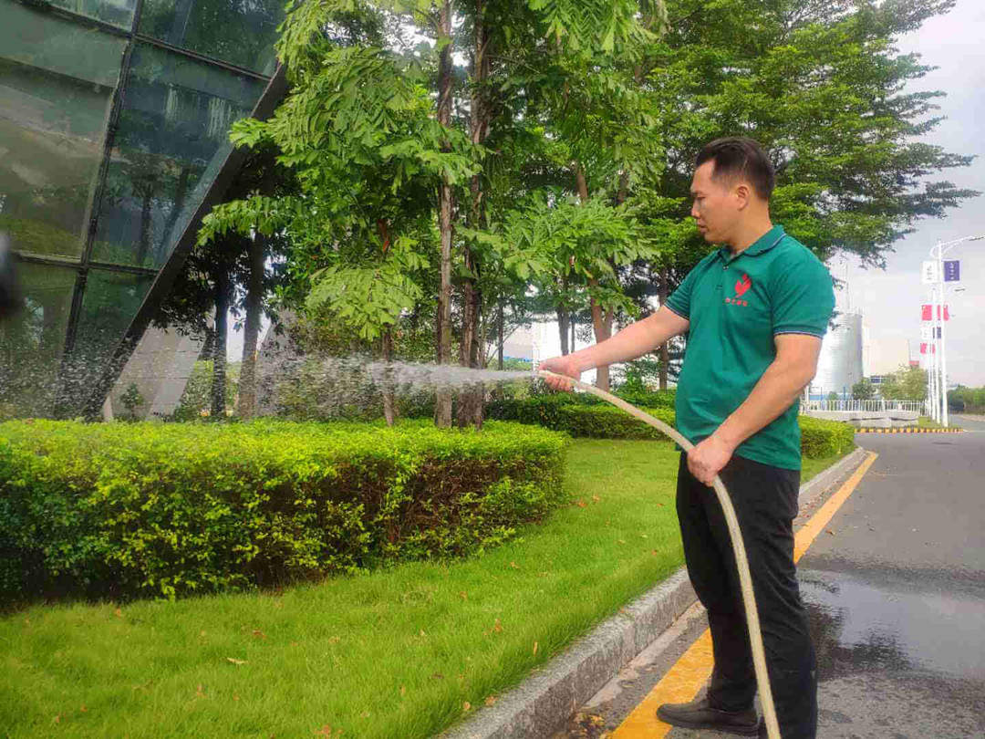 六月份工廠綠化養護日常澆水