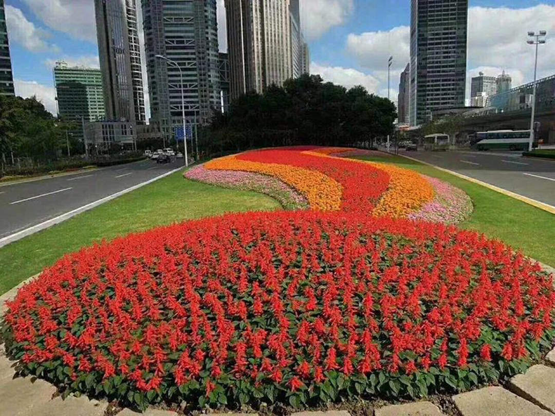 園林景觀設計中關于道路景觀的構成