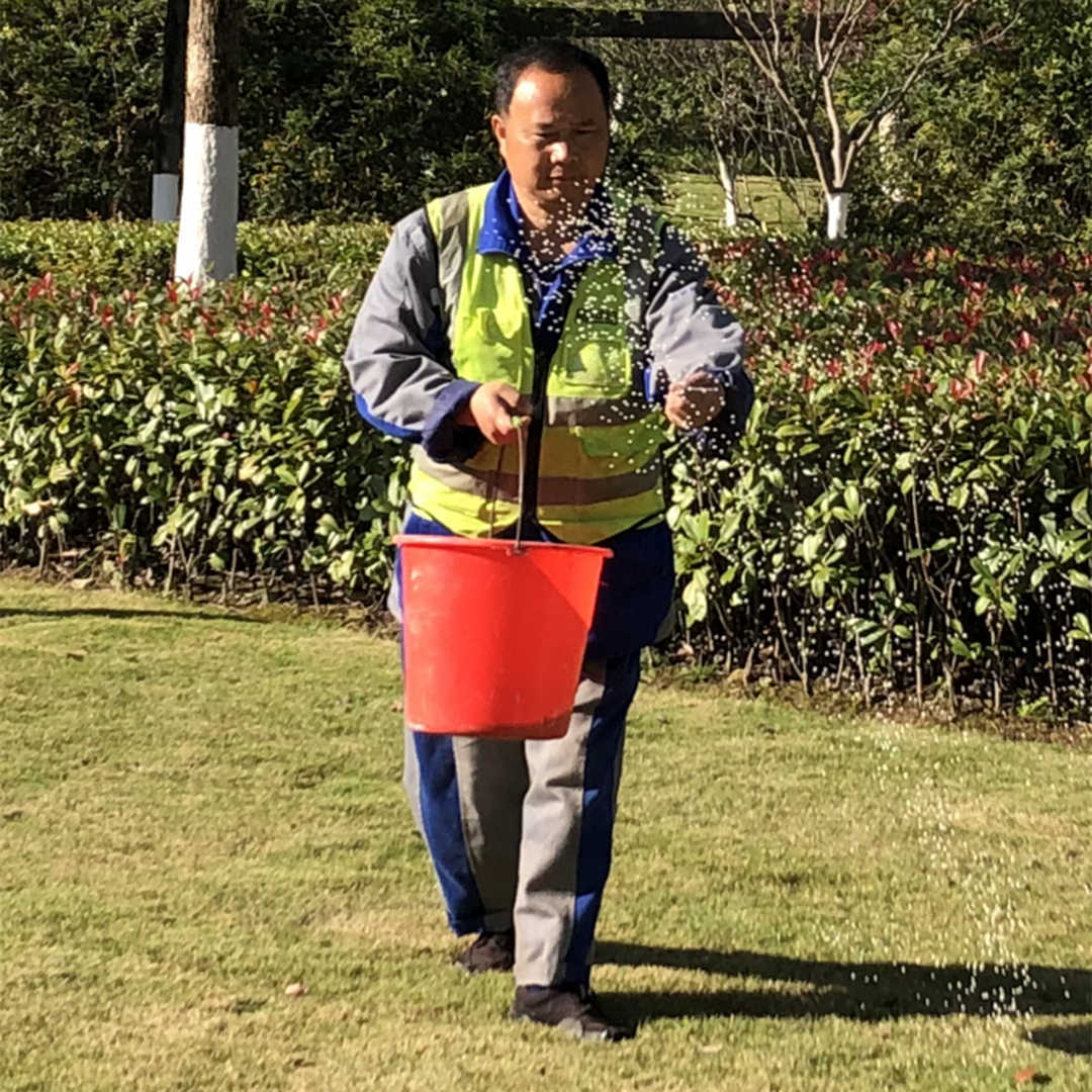 秋季園林綠化養護施肥