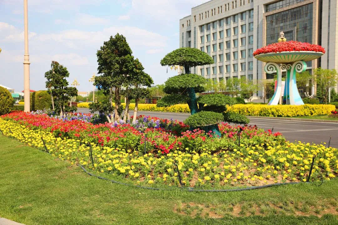 綠化設計植物搭配