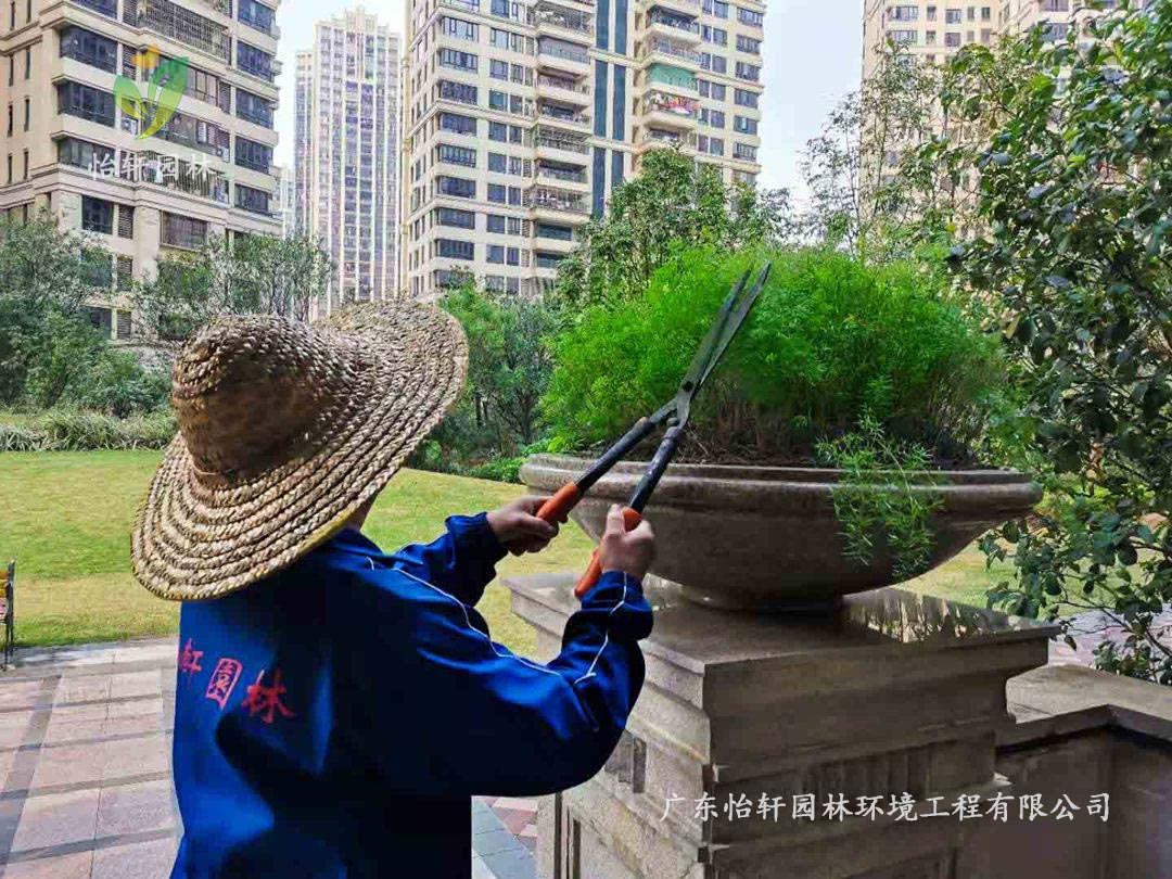 園林綠化養護修剪