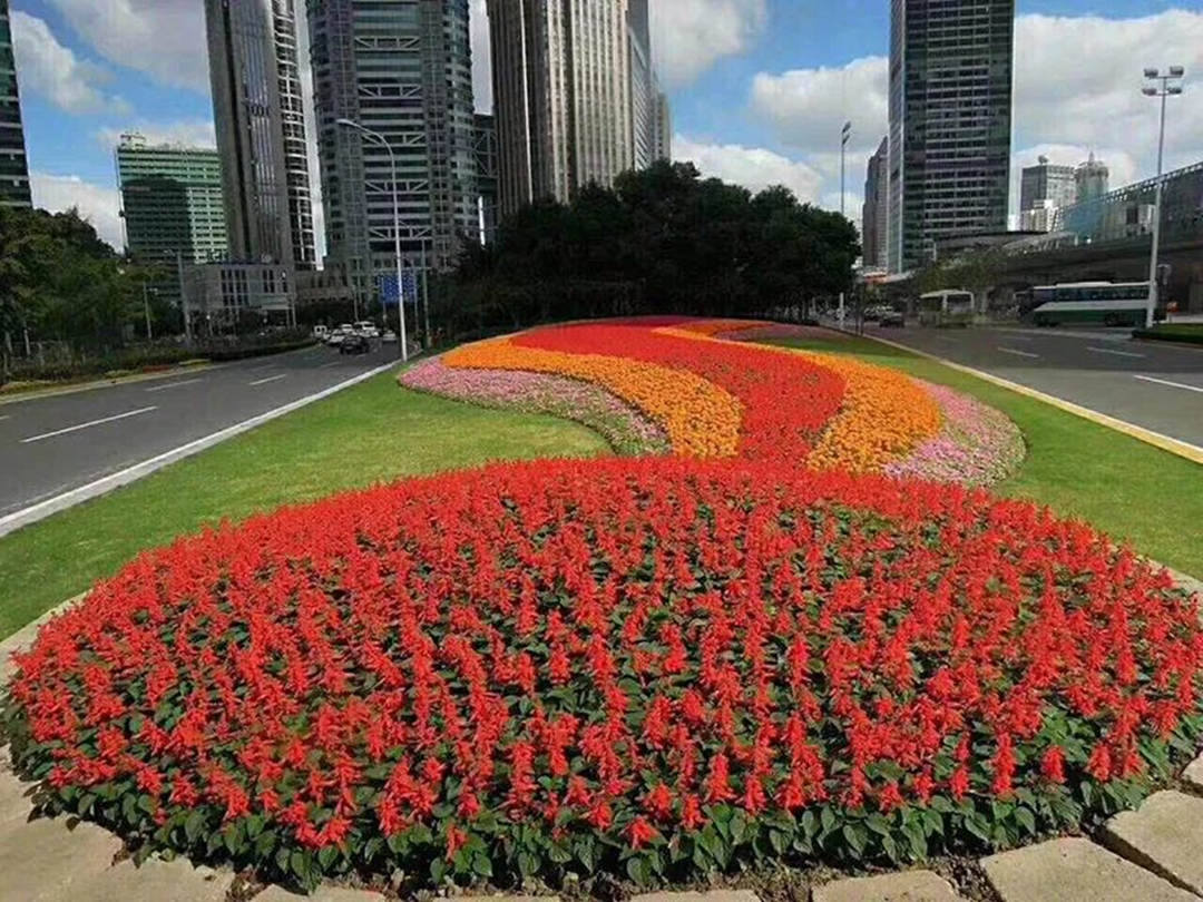 綠化設計