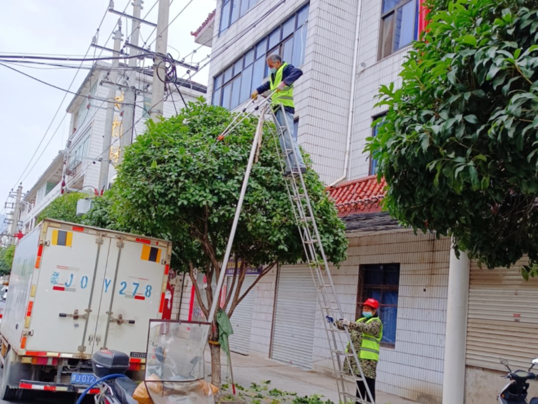 綠化養護喬木修剪