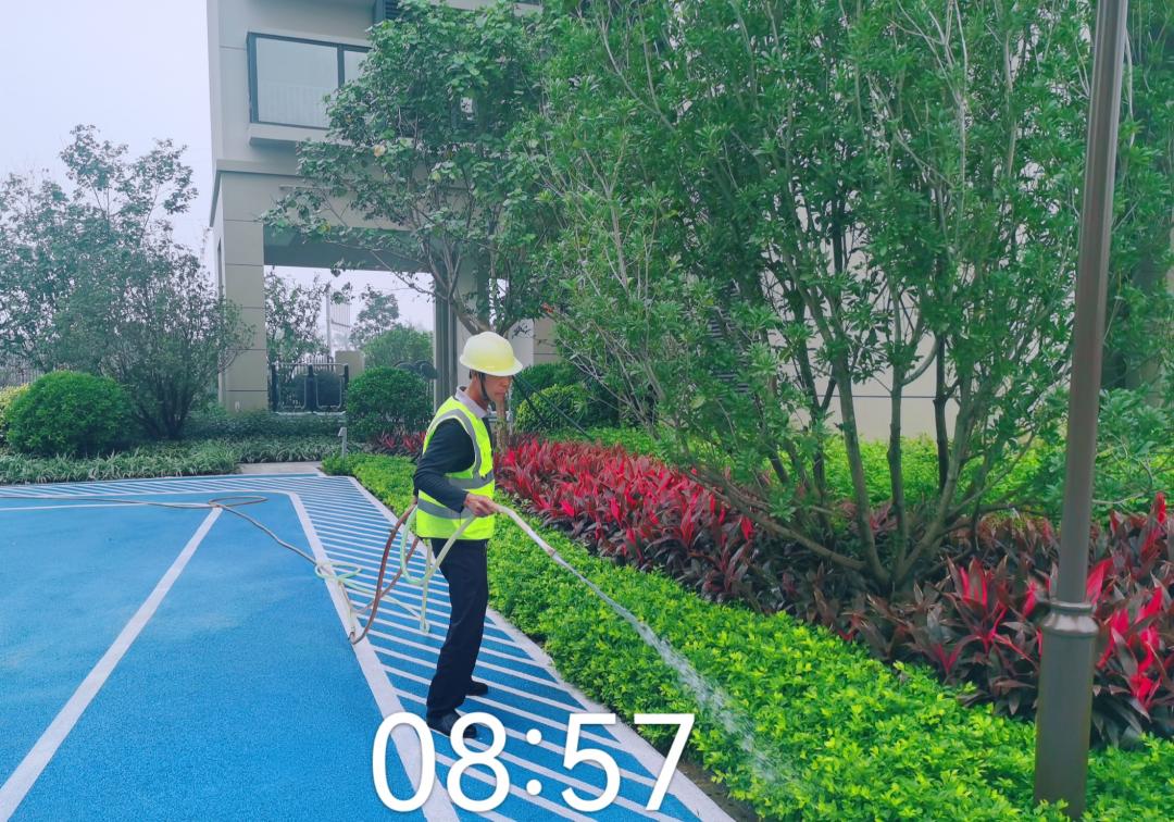 草本花卉綠化養護澆水