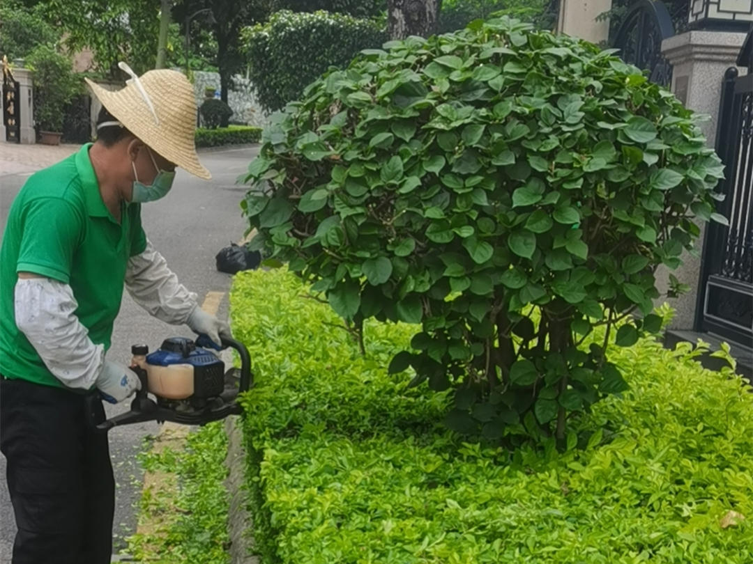 小區綠化養護修剪