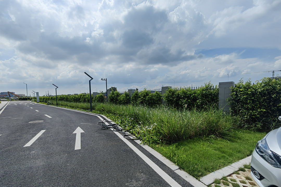 道路綠化設(shè)計灌木地被的選擇