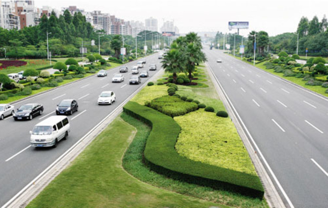 城市道路綠化設計