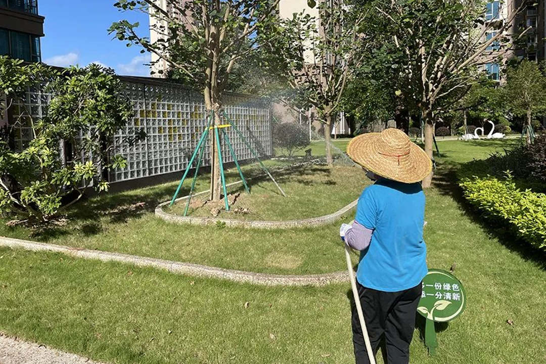 園林綠化工程新鋪植草坪的養護
