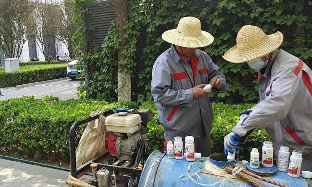 園林綠化養護中關于藥劑混用的注意事項