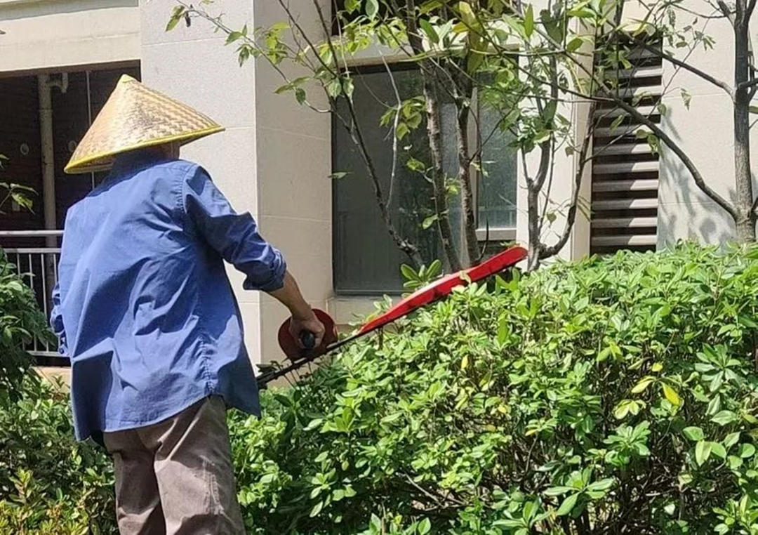 園林綠化養護修剪