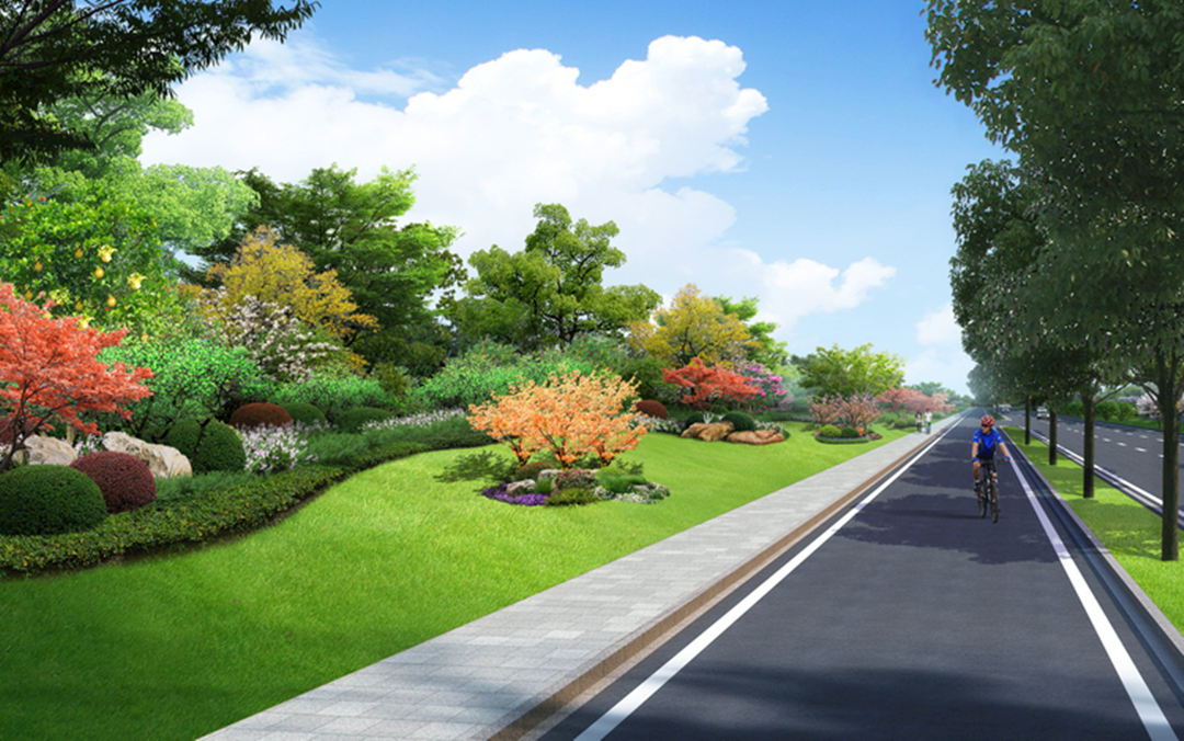道路綠化設計