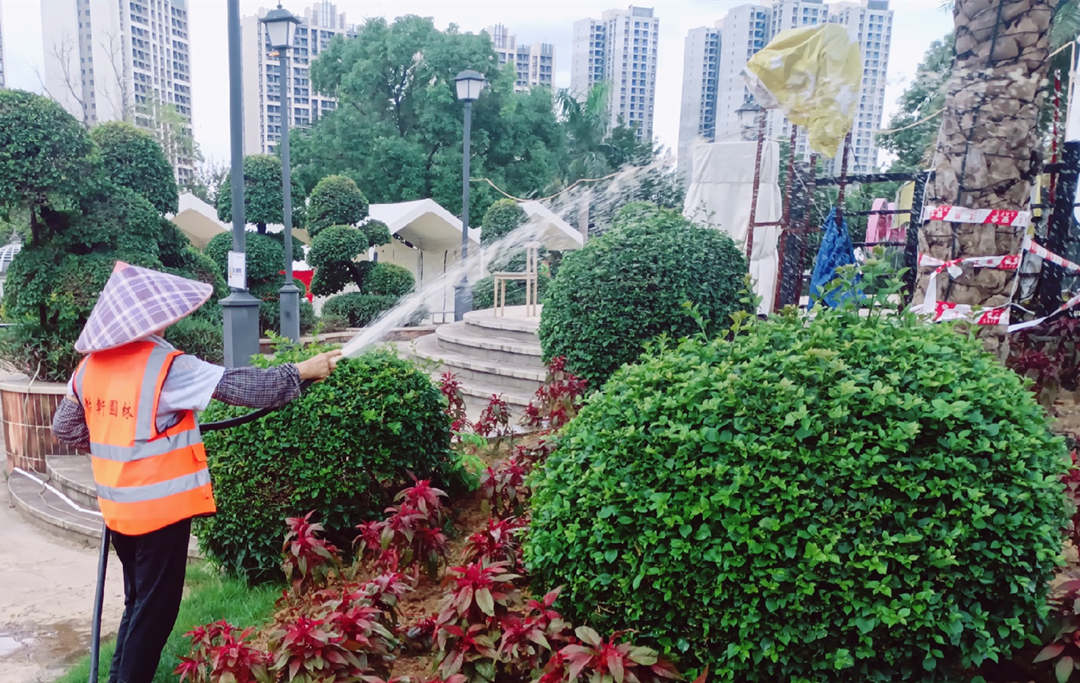 園林綠化養(yǎng)護(hù)澆水