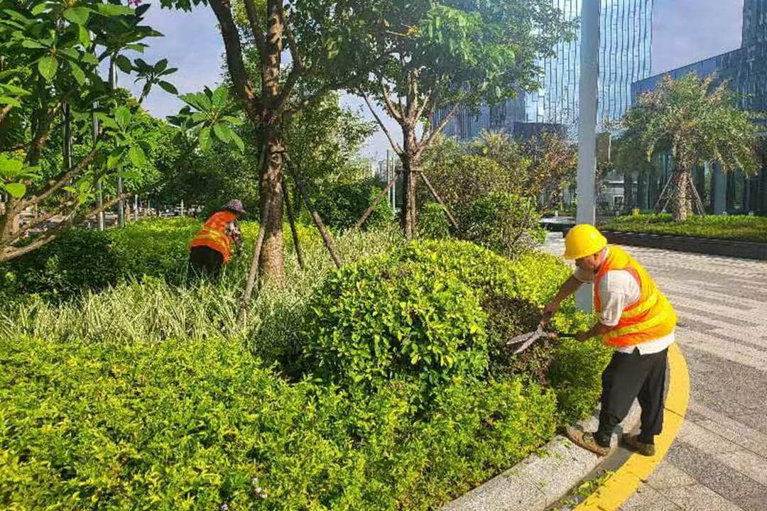 小區綠化養護修剪