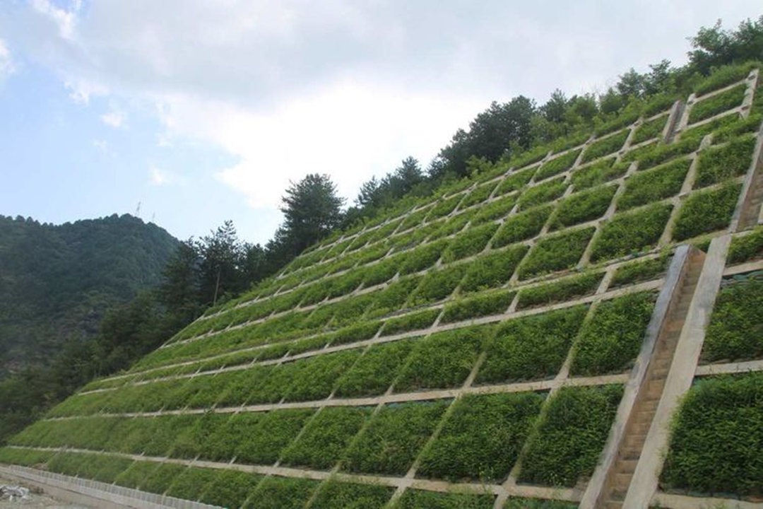 邊坡綠化設計種植