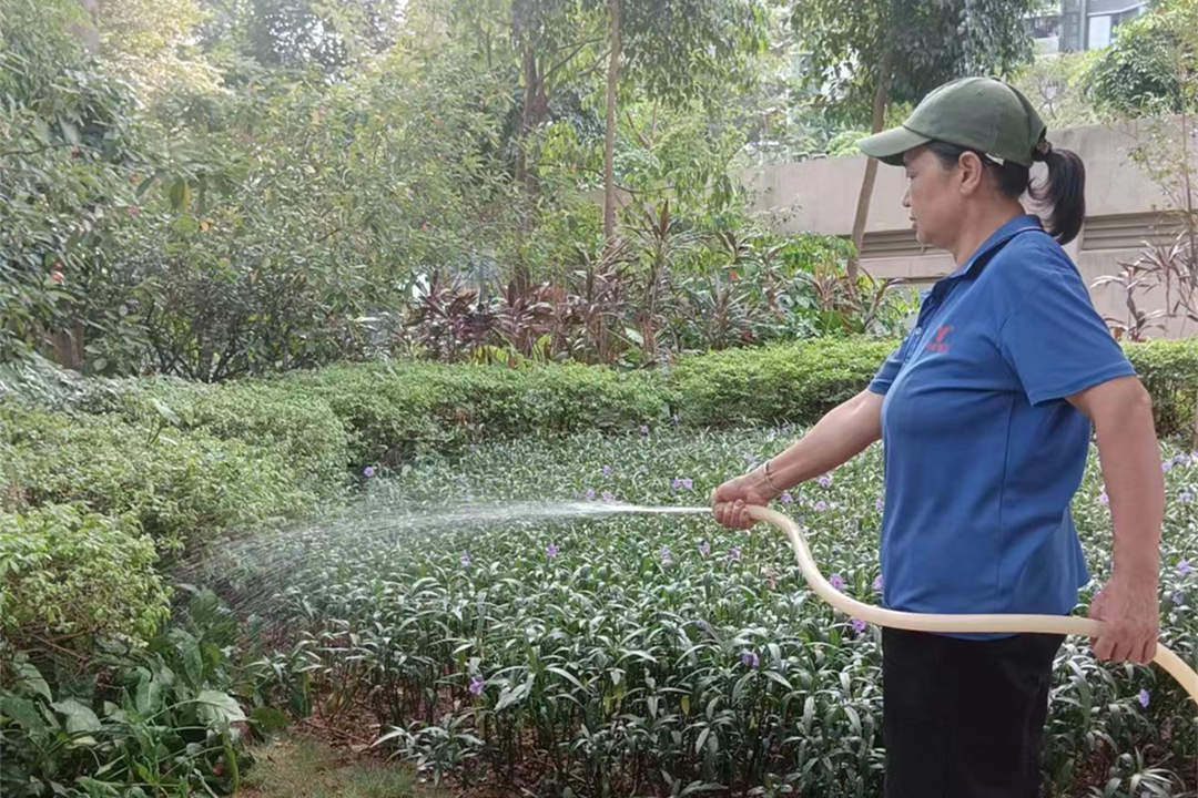 十一月綠化養護澆水