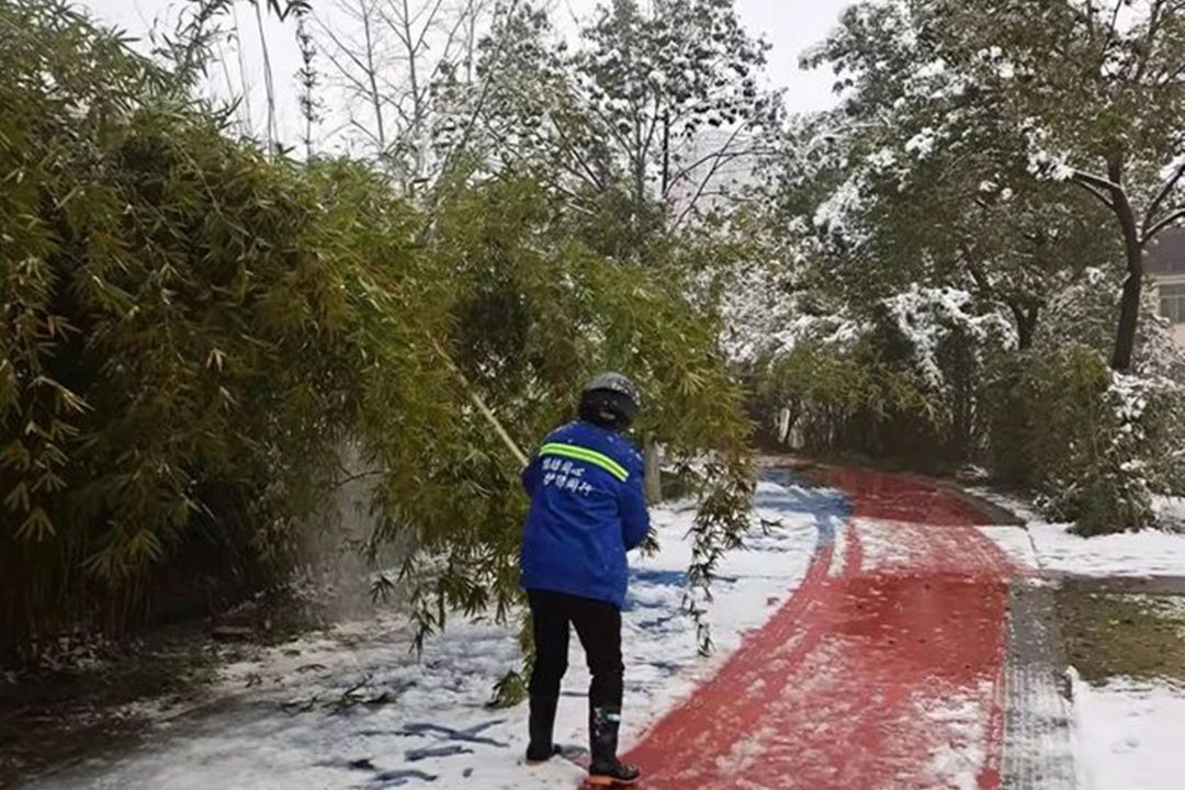大雪過后的綠化養護