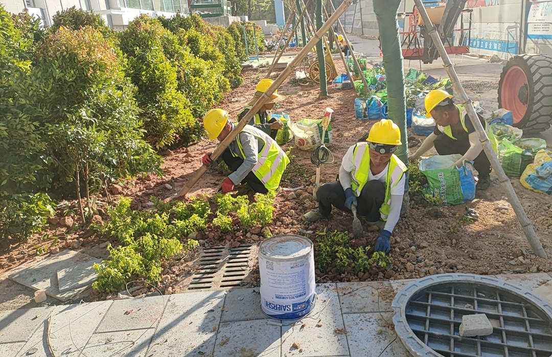 園林綠化工程施工管理現場